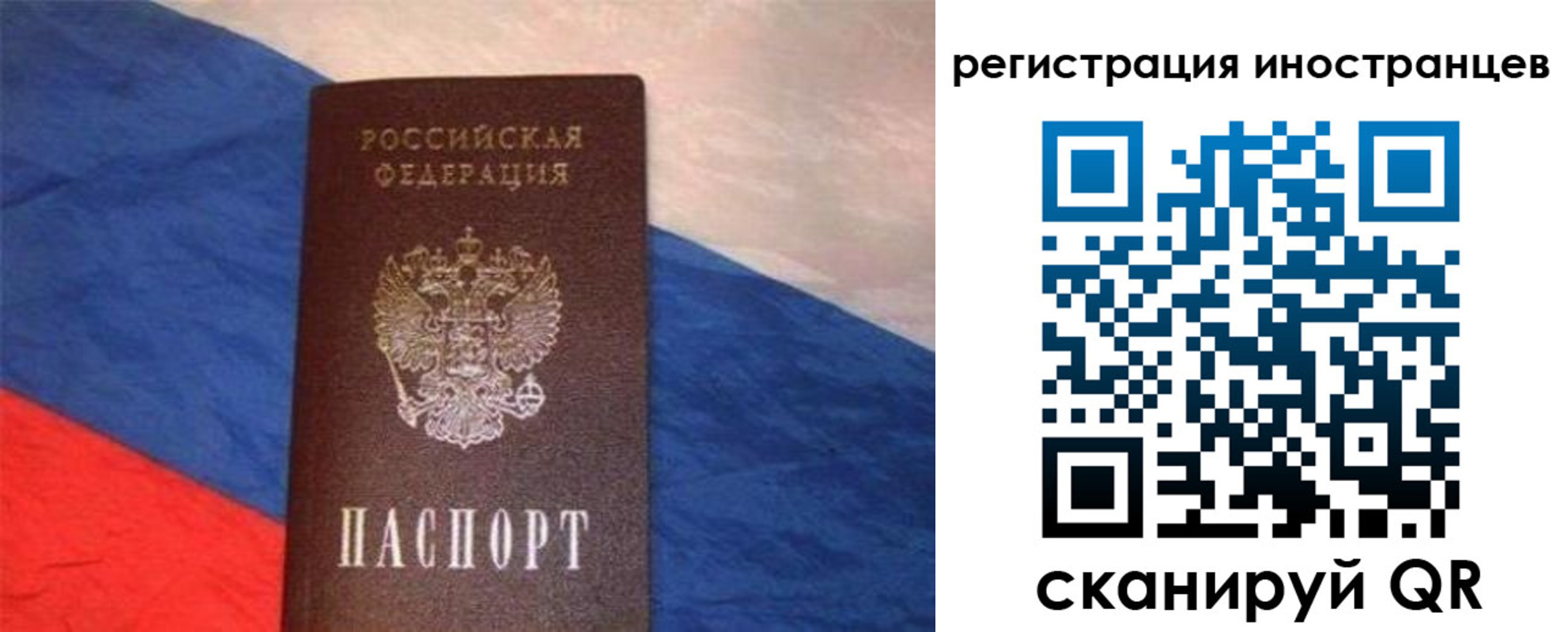 прописка в Донском
